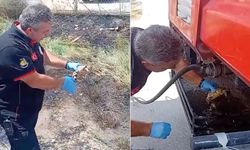 İtfaiye ekipleri, yangından kurtarılan kaplumbağayı suyla serinletti