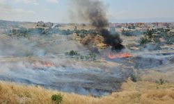 Son dakika... Çorum'da Şehitlik arkasındaki alanda yangın