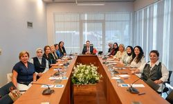 DEVA partili kadınlar saha çalışmalarına start verdi