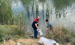 Dodurga'da gölete  yavru balık bırakıldı