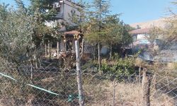 Kuru otları yakmak isterken canından oldu