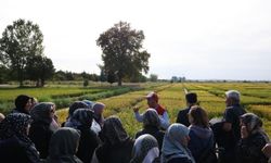 Çorumlu kadın çiftçiler Edirne’de çeltiği, Çanakkale’de kooperatifçiliği inceleyecek