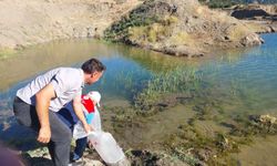 Gölet ve barajlara yavru balık bırakıldı