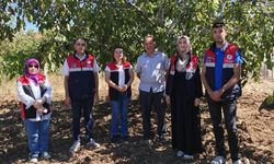 Oğuzlar’da ceviz  üretimi denetlendi