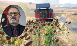 Yağlık ayçiçeği alım fiyatı açıklandı: İşte ton başına fiyatı