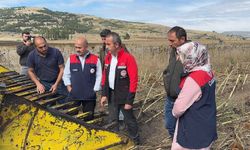 Çorum yağlık ayçiçeği  üretimiyle örnek oldu