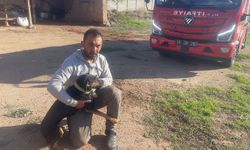 Su kuyusuna düşen köpek itfaiye ekiplerince kurtarıldı