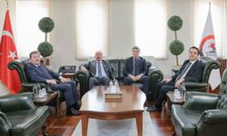 Bölgesel kalkınma  için iş birliği zirvesi