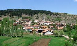 Çorum'da 2 köyde hazine arazileri satışa çıktı! İşte o köyler