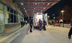Çorum’da ağaçtan düşen 7 kişi yaralandı