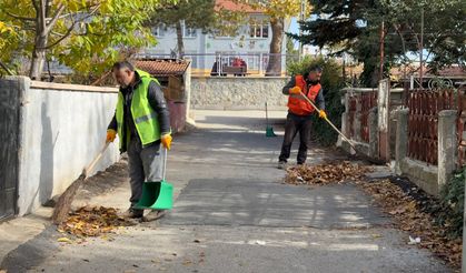 Temizlik seferberliği