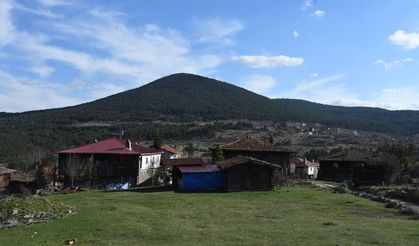 Tarihi kalıntılar ve surlarla kaplı tepe merak uyandırıyor