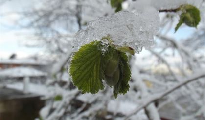 Meteoroloji Çorum için saat verdi! Bugüne dikkat
