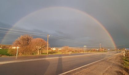 Yağmurun ardından  gelen renk cümbüşü