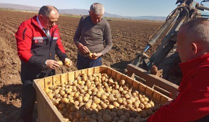 Bozboğa’da hububat  ve patates incelemesi