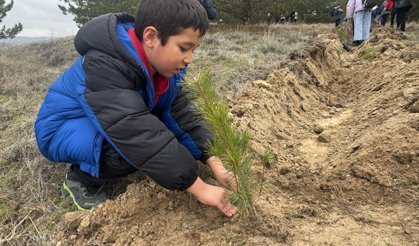 Yüzlerce fidan  toprakla buluştu