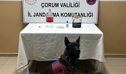 Alaca'da uyuşturucu operasyonunda 1 kişi yakalandı