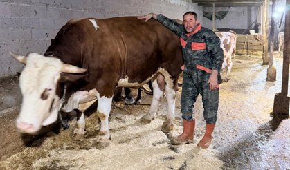 “İmparator” 380 bine satıldı