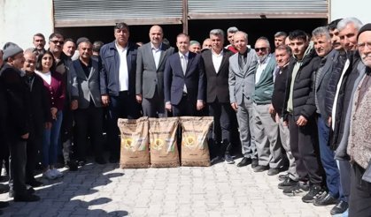 Çiftçilere yüzde 50 hibeli ayçiçeği tohumu dağıtıldı