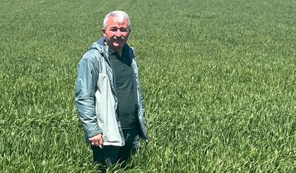 Ziraat Mühendisleri Odası’ndan toprak uyarısı:   “Geleceğimizi kendi  ellerimizle yok ediyoruz”