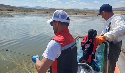 Kilometrelerce yasa  dışı ağ ele geçirildi