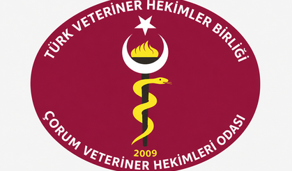Aşılama sırasında saldırı:   Veteriner hekimlere  şiddete tepki