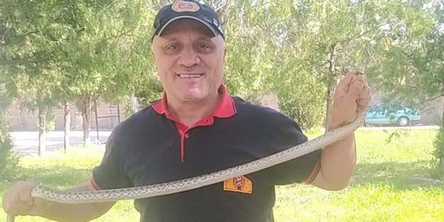 Ağaca çıkan yılan paniğe neden oldu