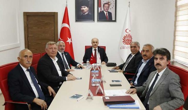 “Sokak hayvanları kontrolsüz bir şekilde beslenmemeli”