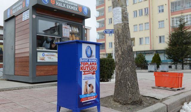 Bayat ekmekler israf olmuyor