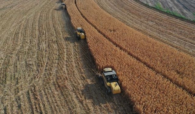 Tarım-ÜFE yıllık yüzde 57,85 arttı