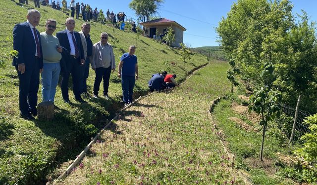 Çorumlu çiftçiler Samsun'da