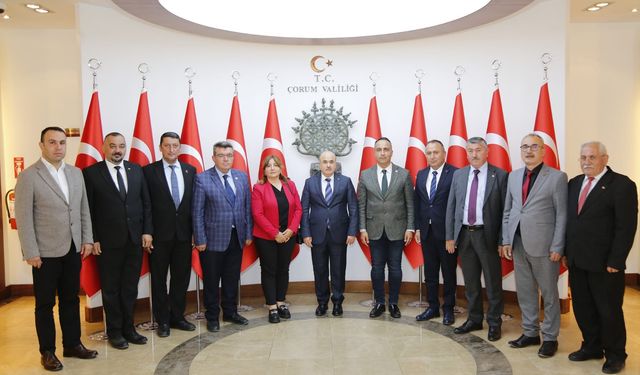 CHP İl Genel Meclisi üyeleri  Vali Dağlı’yı ziyaret etti