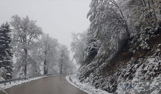 Bolu-Yedigöller yolu kar  risk nedeniyle kapatıldı