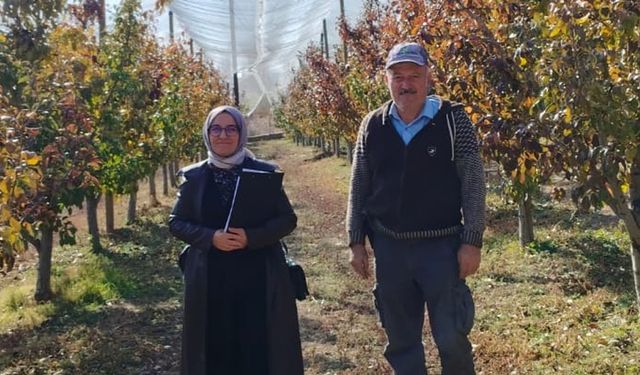 Deveci Armudu don ve  doludan etkilenmeyecek