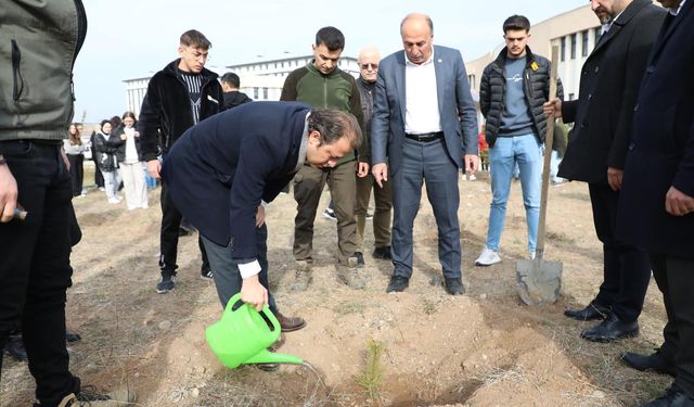 Alaca’da binlerce fidan toprakla buluşturuldu