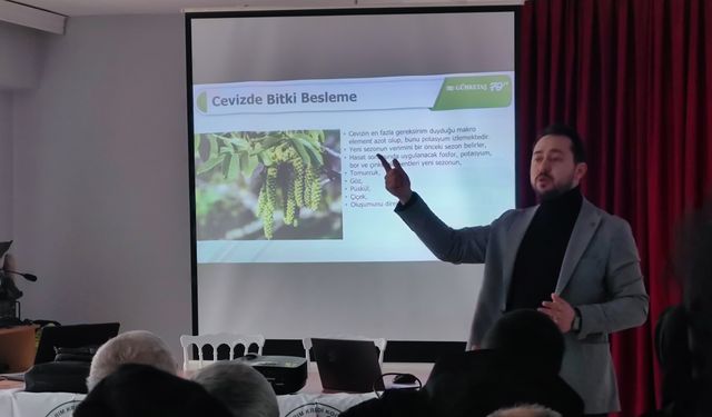 Oğuzlar'da ceviz üreticilerine  “bitki besleme” eğitimi verildi