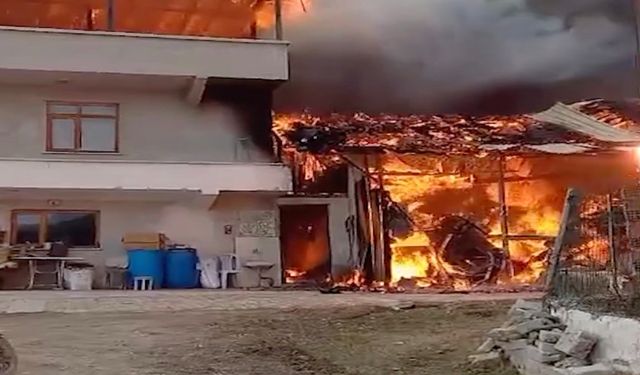 Ev ve ahır alev alev yandı
