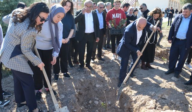 Atıl okul bahçeleri meyve  bahçesine dönüşüyor