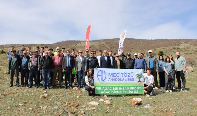 Mecitözü'nde 100 fidan  toprakla buluştu