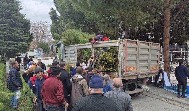 Kargı'da vatandaşlara  fidan dağıtıldı