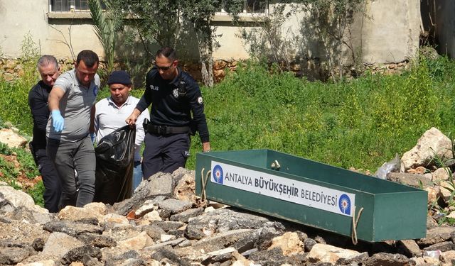 Cezaevinden izinli  çıktı, ölü bulundu