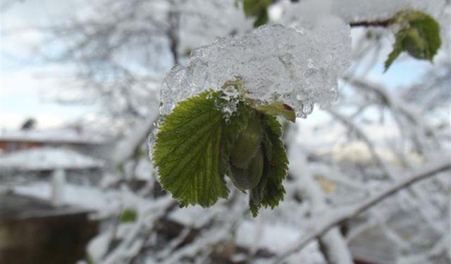 Meteoroloji Çorum için saat verdi! Bugüne dikkat