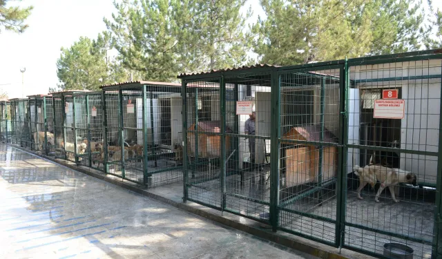 Çorum merkez ve ilçeleri hayvan barınakları yapım işi
