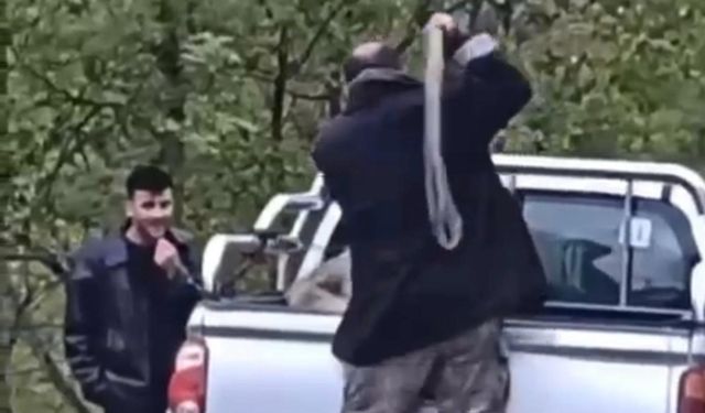 Köpeğe halatla şiddet