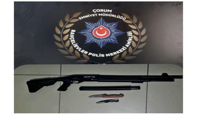Asayiş operasyonlarında  çok sayıda silah ele geçirildi