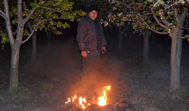Çorum'da çiftçiler meyvelerini zirai dona karşı korumak için ateş yakıyor