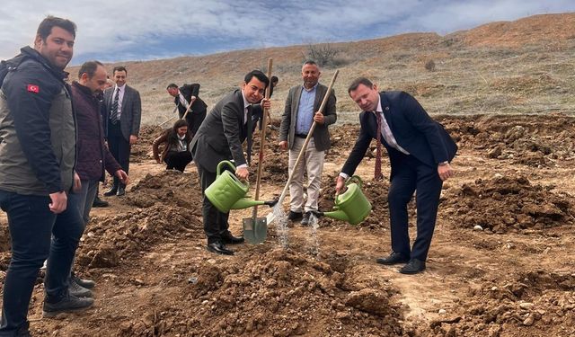 Sungurlu OSB’ye sedir fidanı dikildi