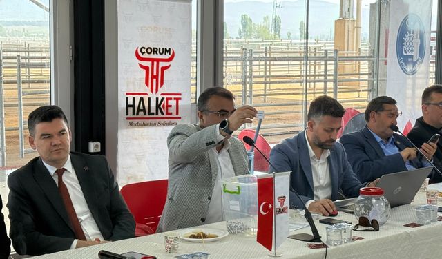 Kurban Pazarı 31 Mayıs’ta açılacak