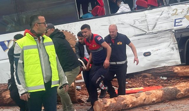 Katliam gibi kaza: 7 ölü