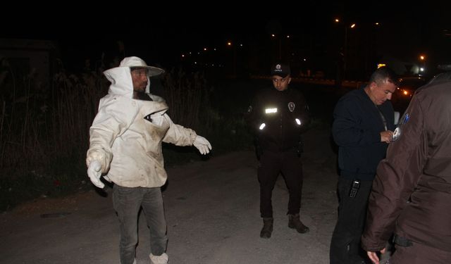 Devrilen kamyonetteki arılar trafik polislerini soktu!